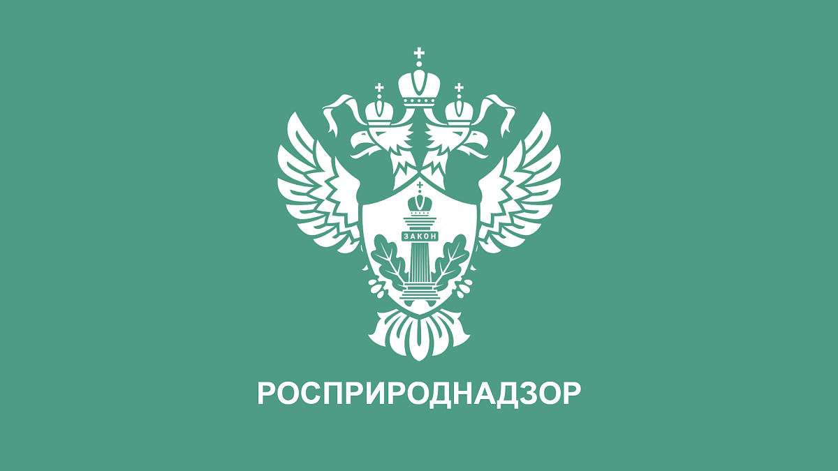 Росприроднадзор требует 123 млн рублей от предприятий за вред экологии