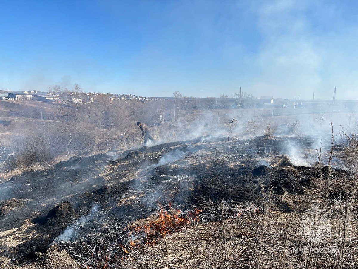 Природные пожары стали чаще происходить в Нижегородской области