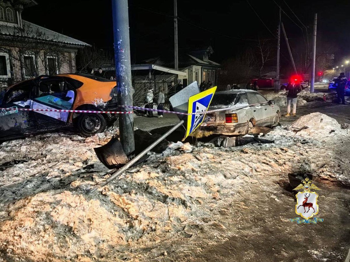 В Нижнем Новгороде возбудили дело после смертельного ДТП на остановке