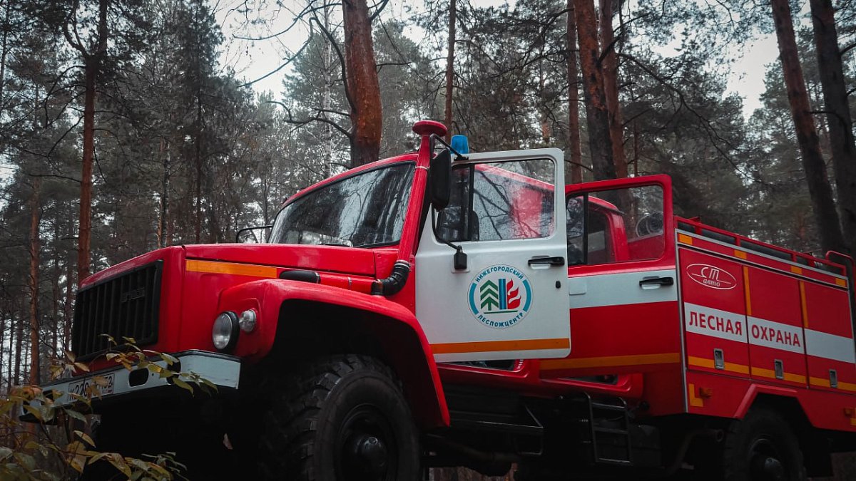 Нижегородскую область признали полностью готовой к пожароопасному сезону