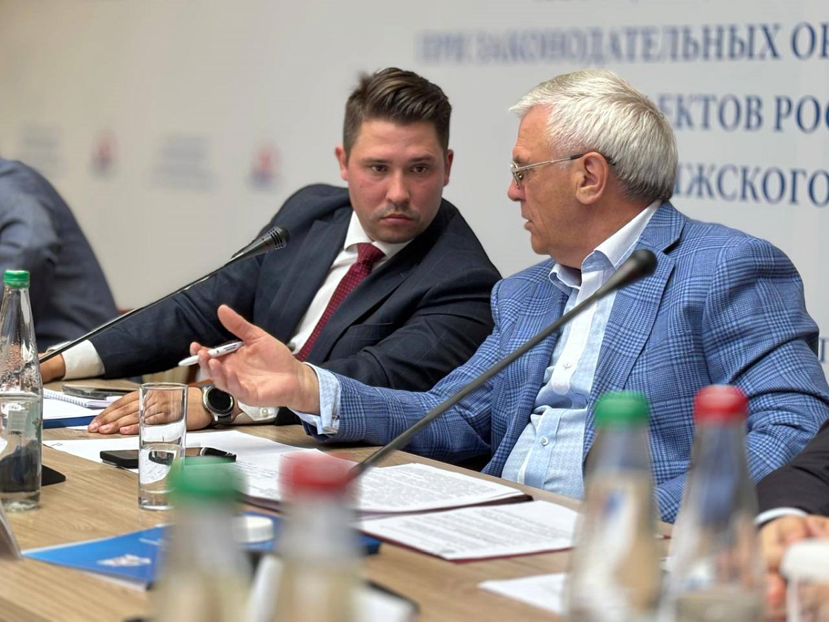 Молодые парламентарии ПФО представили инициативы по спорту и семейной политике