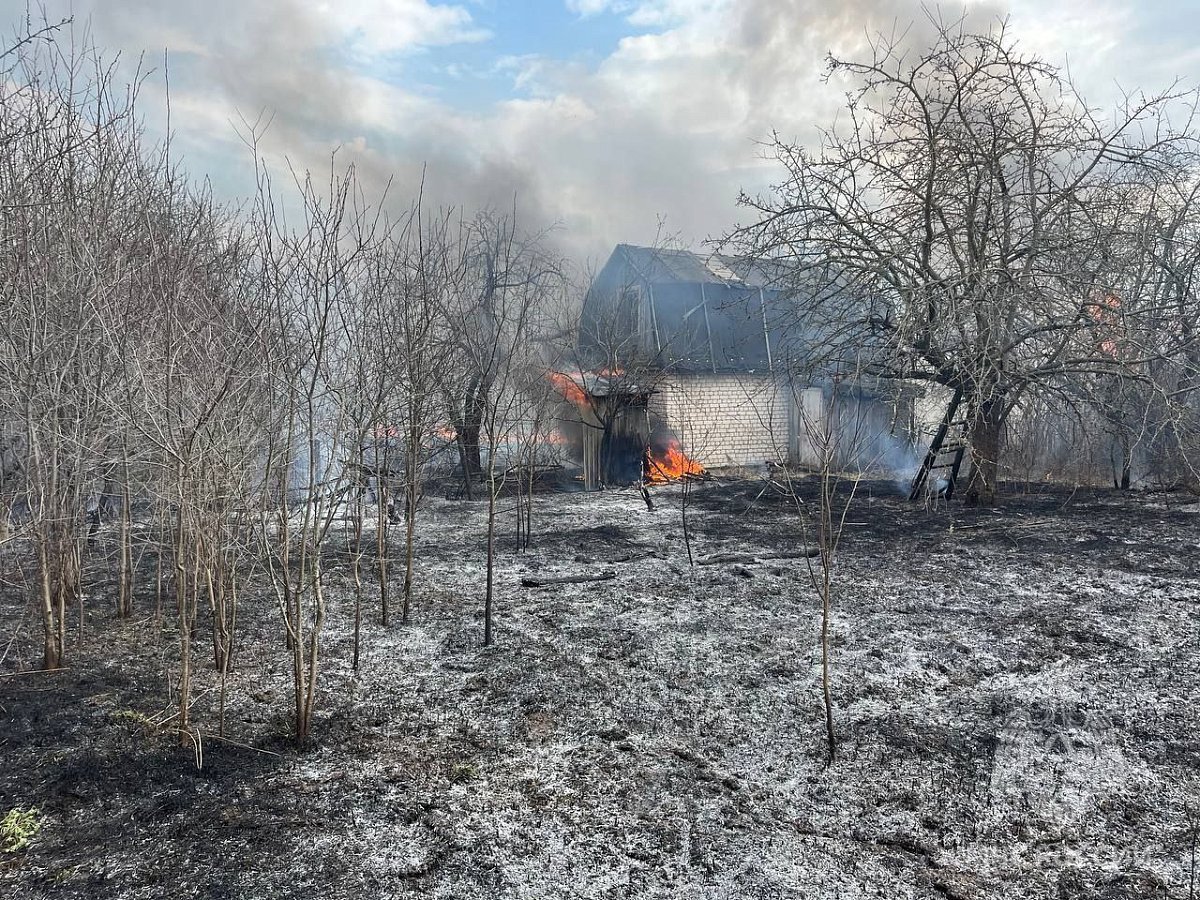 Пожар в СНТ под Арзамасом уничтожил шесть дачных построек и гектар травы