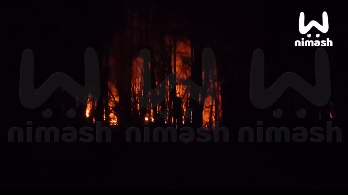 Незаконная свалка полыхает на Московском шоссе