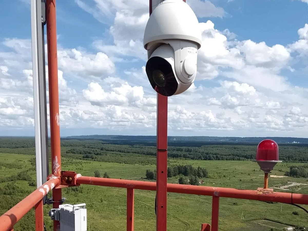 В лесах Нижегородской области установили 205 камер от пожаров