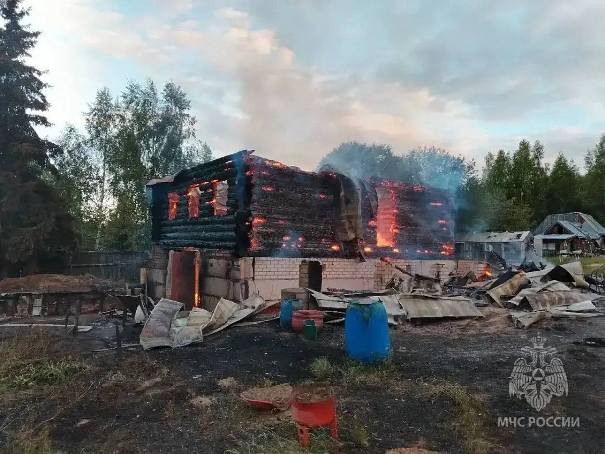 Женщина погибла в ночном пожаре в Сокольском округе