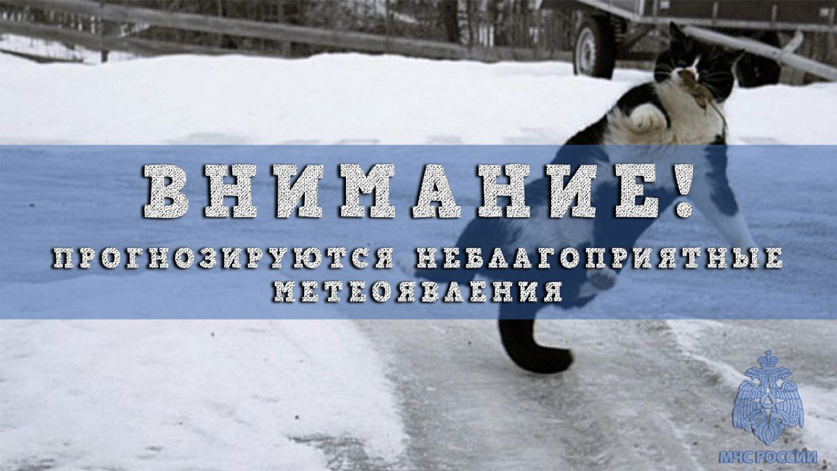 Нижегородцы массово обратились к властям с жалобами на гололед