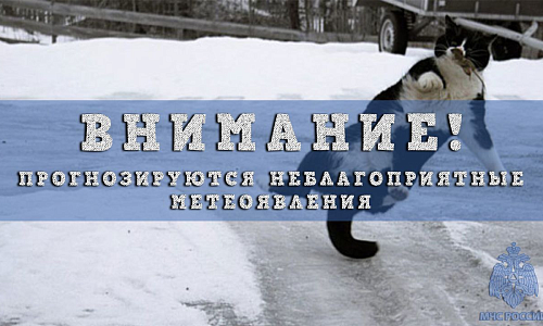 Нижегородцы массово обратились к властям с жалобами на гололед