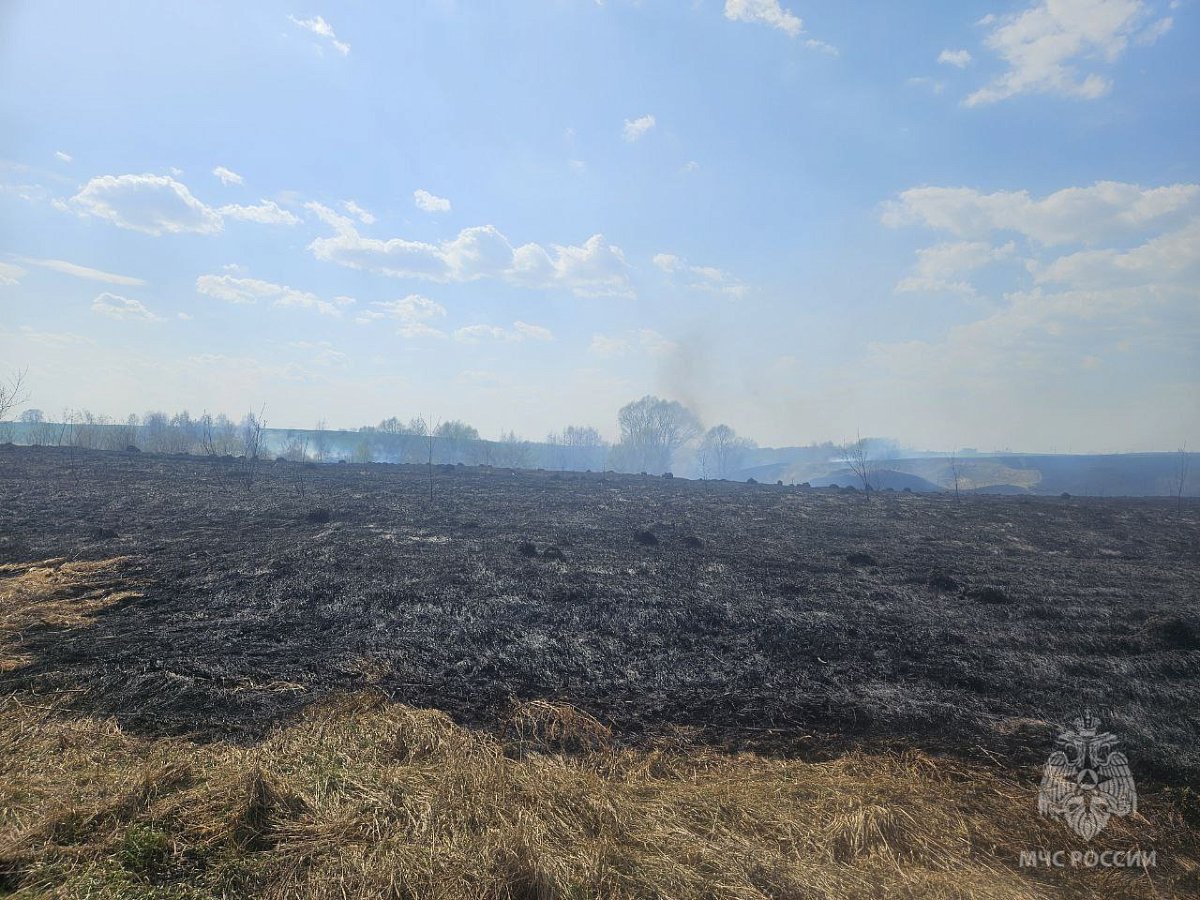 Два новых ландшафтных пожара вспыхнули в Нижегородской области