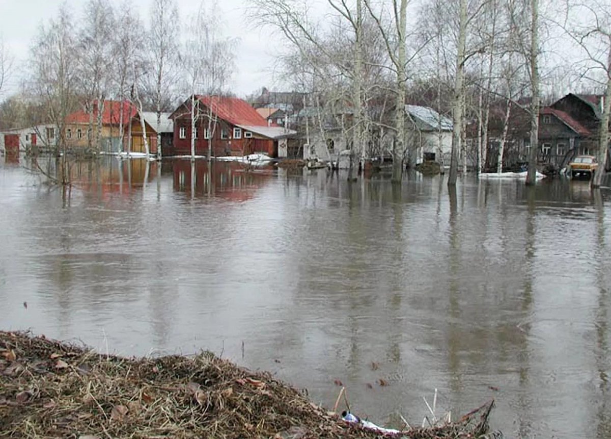 В зоне затопления может оказаться 141 населенный пункт Нижегородской области