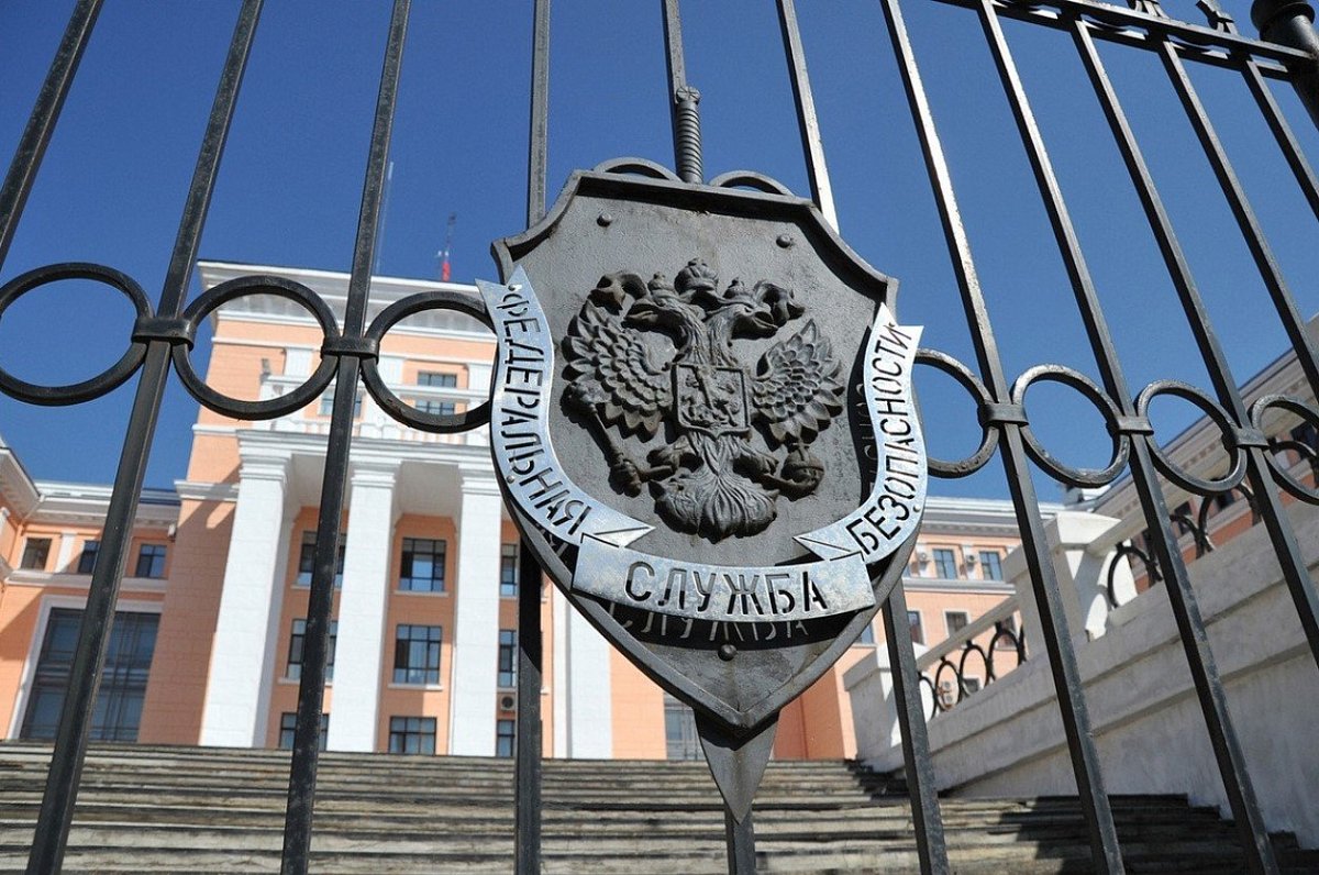 Житель Нижегородской области получил 9 лет колонии за госизмену и диверсию