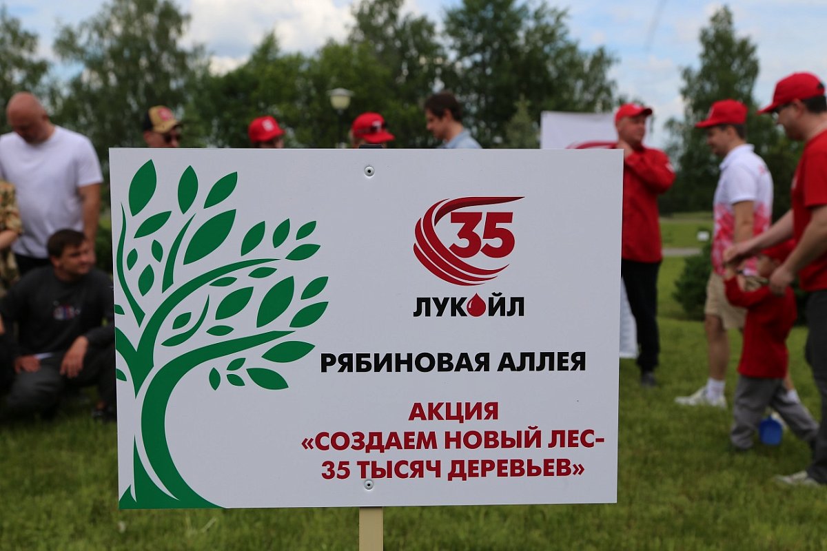 ЛУКОЙЛ провел акции по посадке деревьев
