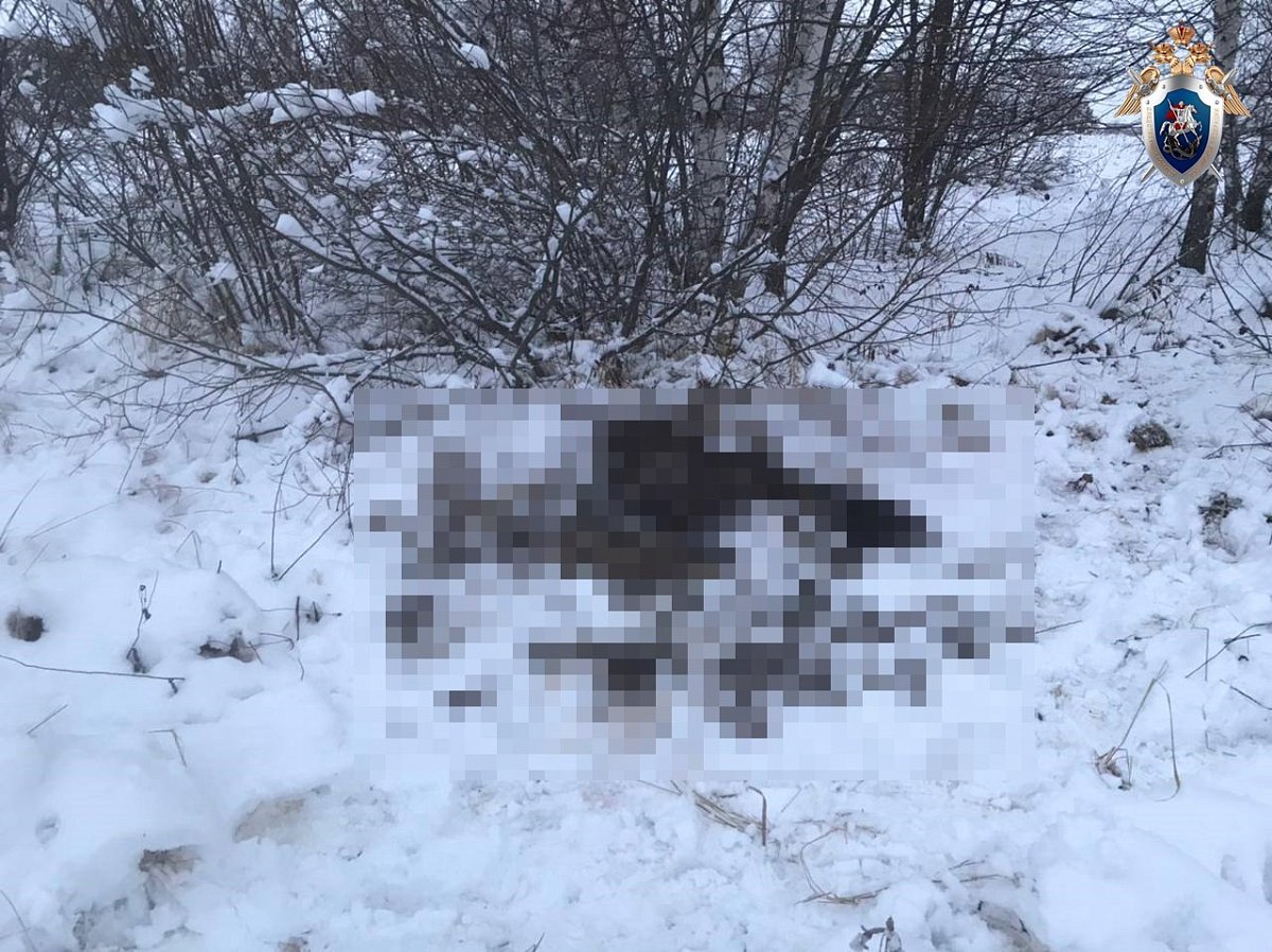 Пятерых нижегородцев осудят за незаконную добычу лося