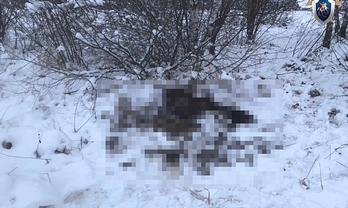 Пятерых нижегородцев осудят за незаконную добычу лося