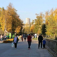 В Нижнем сегодня до +8 и без дождя, но ночью похолодает до +3