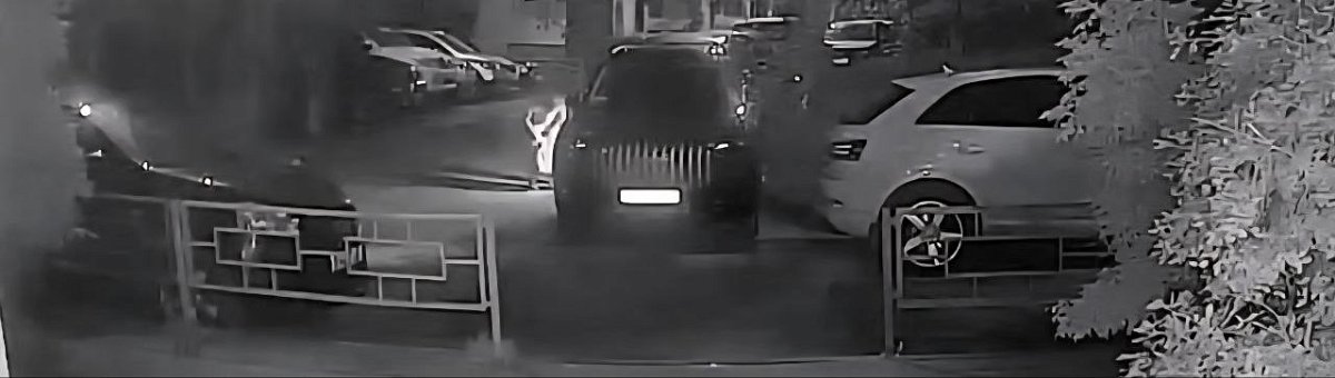 Ночной поджог на улице Полтавской: автомобиль сгорел, подозреваемый задержан