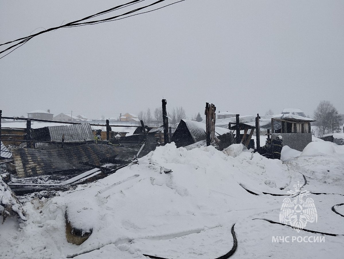 В Володарске при пожаре в хозпостройке погибли 35 коров