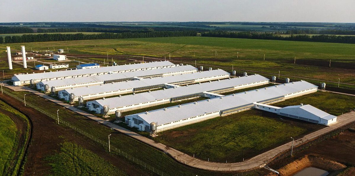 В Нижнем Новгороде проходят сборы по агрогенетике для старшеклассников