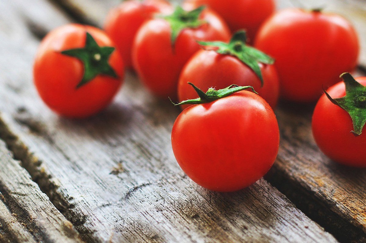 18 тонн заражённых помидоров пытались ввезти в Нижегородскую область