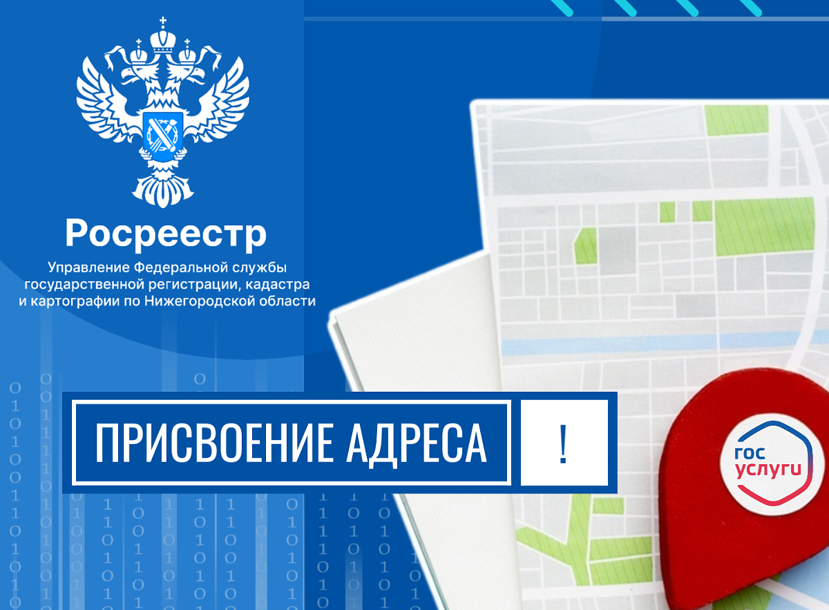 Нижегородцам рассказали, что делать, если Госуслуги «не видят» их адрес