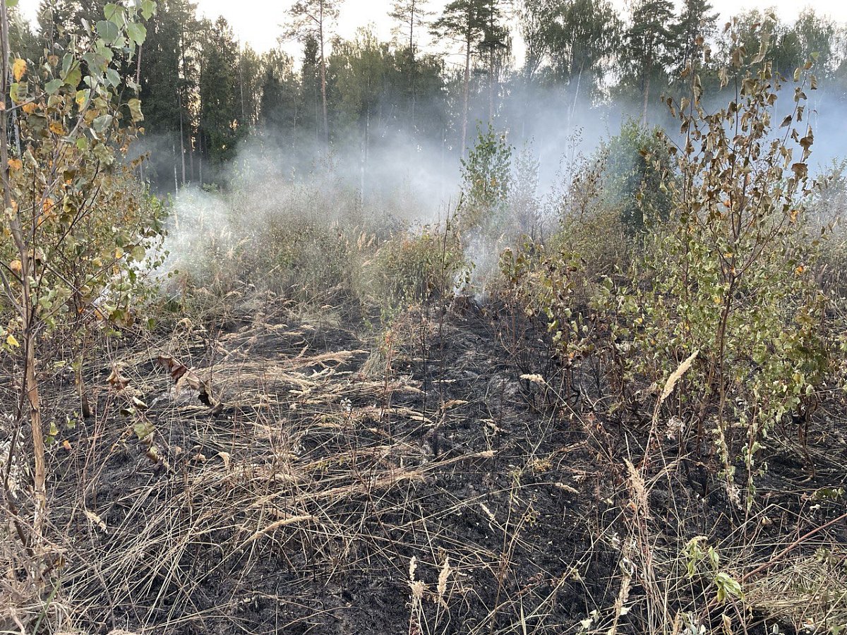 В Нижнем Новгороде создали оперативный штаб по борьбе пожарами