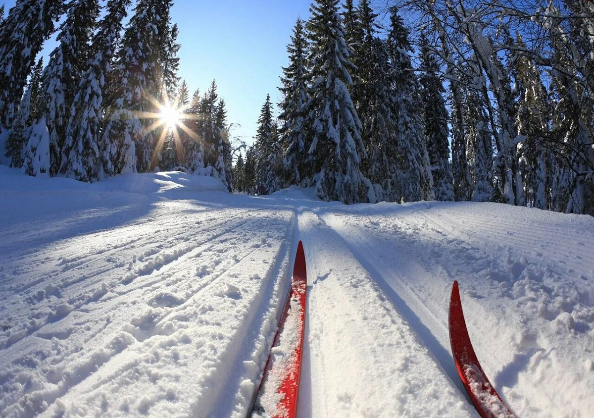 «Лыжня России — 2026» собрала в Нижнем Новгороде около 1000 человек