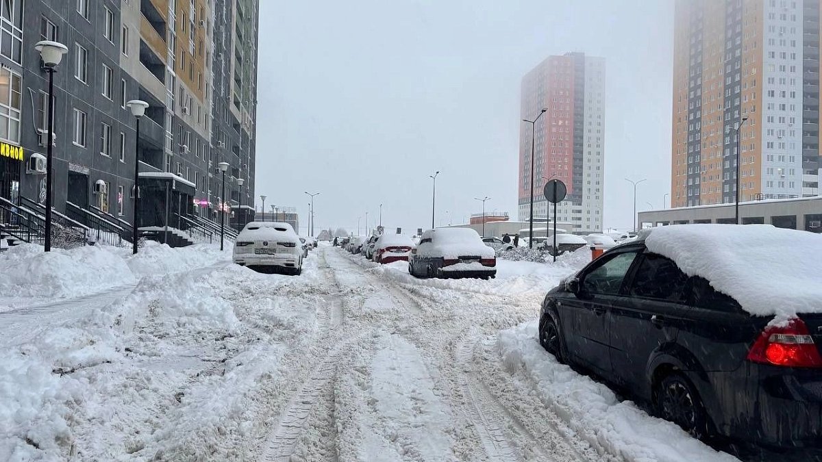 Нижегородцы пожаловались губернатору на вонь и неубранный снег
