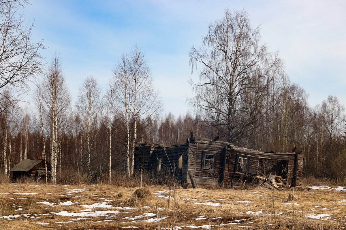 В Нижегородской области решили упразднить еще один безлюдный поселок