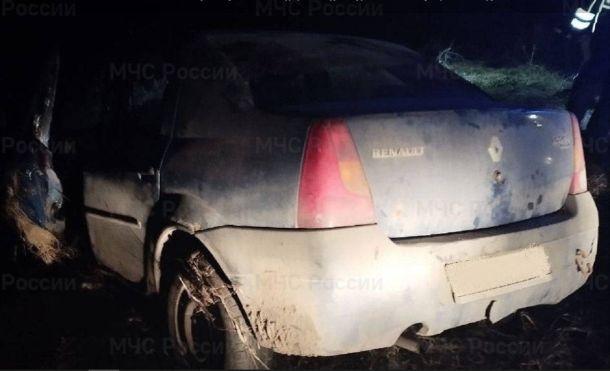 Водитель Renault погиб в ДТП под Гагино 20 марта