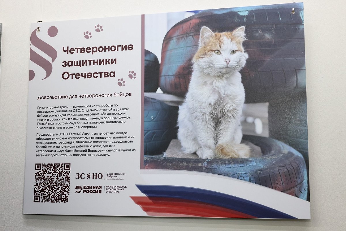 Выставка о дружбе бойцов СВО и их питомцев открылась в нижегородском Заксобрании