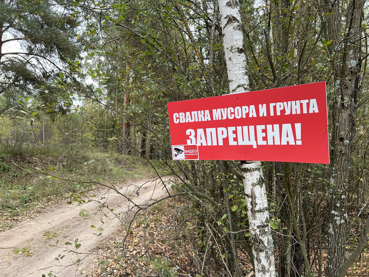 В лесах Нижегородской области уберут 31 свалку в рамках акции «Чистый лес»