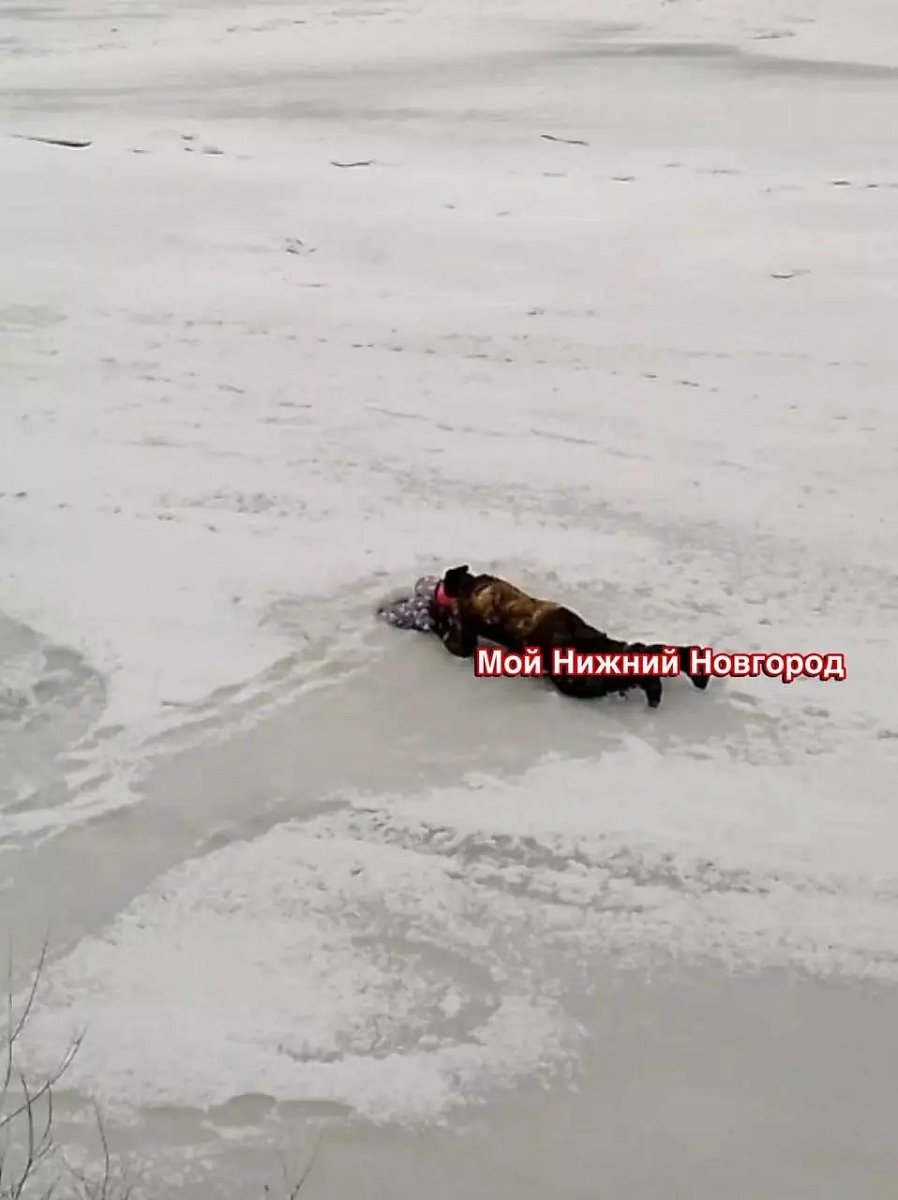 В Нижнем Новгороде молодой человек спас провалившегося под лёд ребёнка