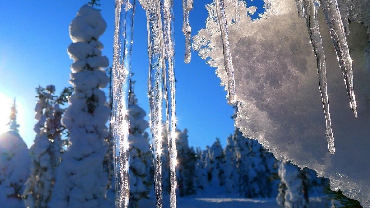 В начале марта в Нижнем Новгороде ожидается оттепель до 0 °C