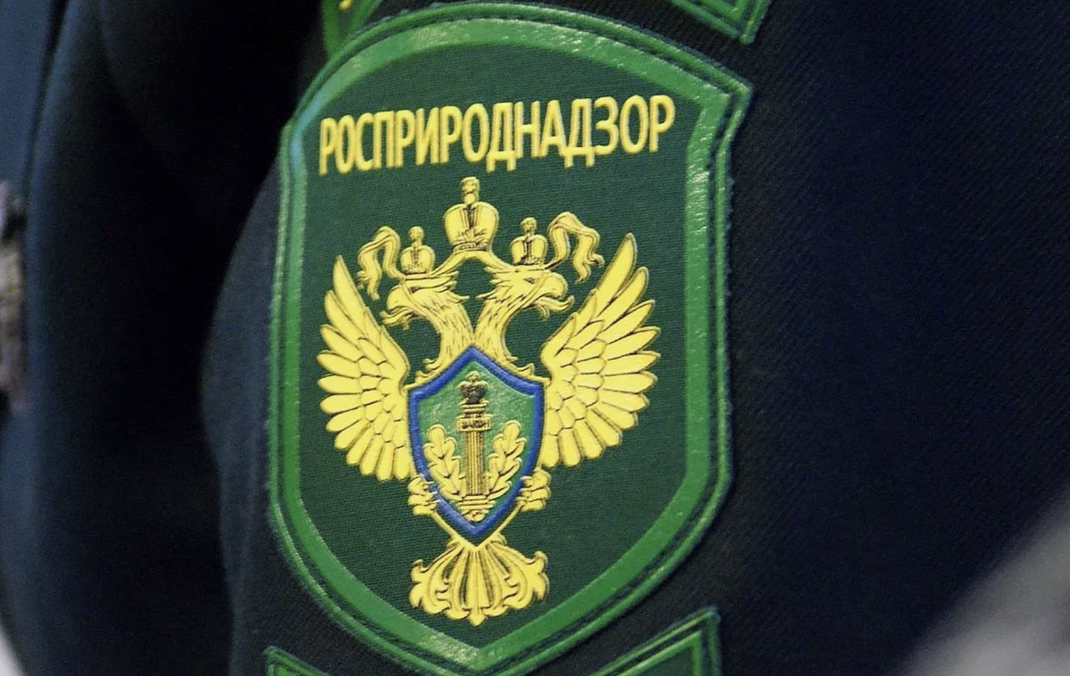 Более 180 предприятий лишились лицензий из-за новых требований Росприроднадзора
