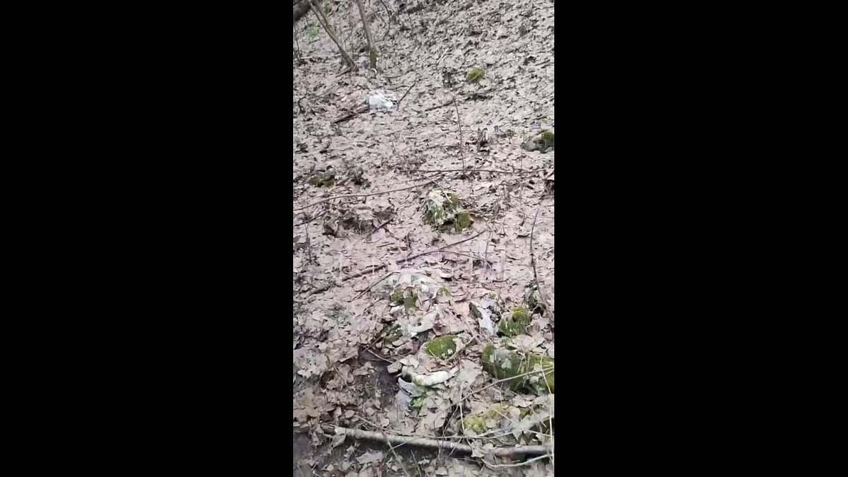 Коровьи черепа нашли нижегородцы рядом с водозабором