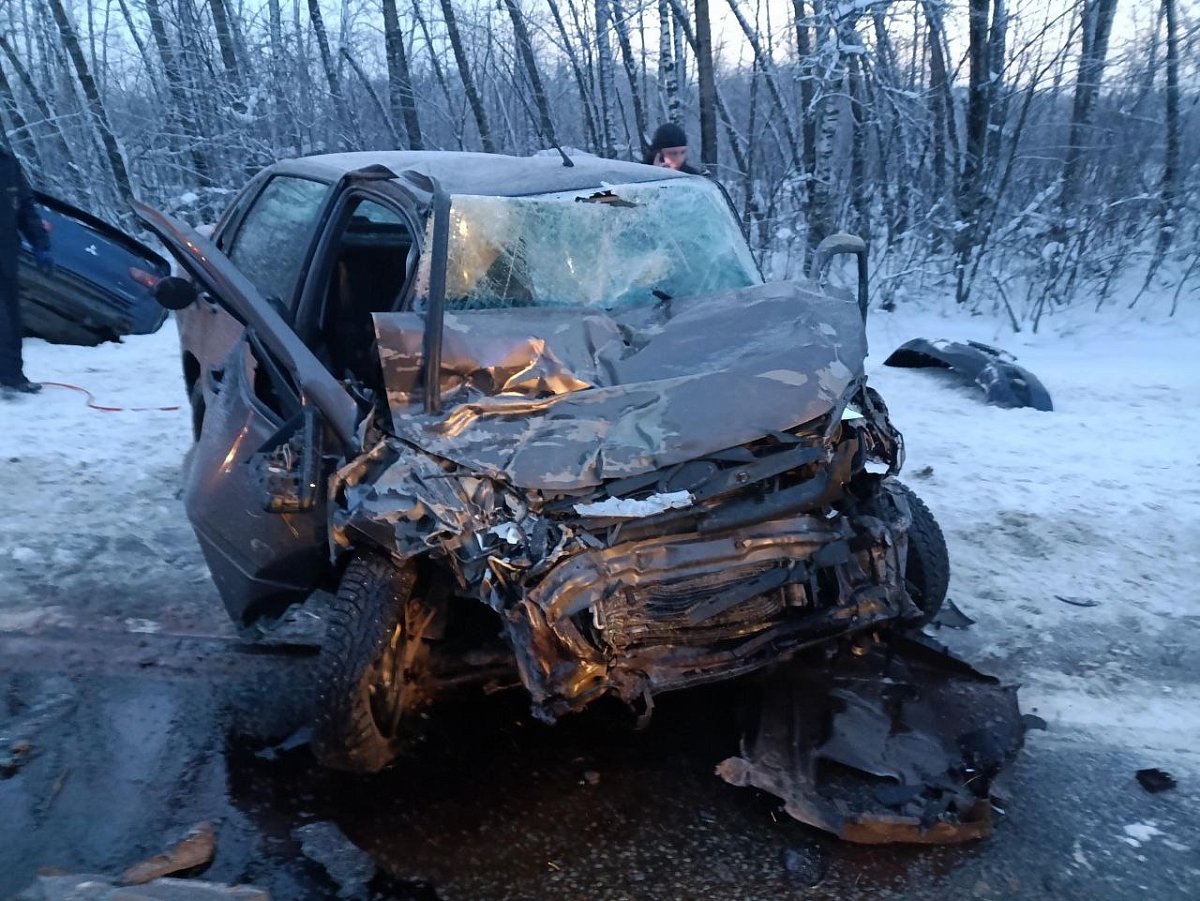 Девять человек погибли в авариях на дорогах Нижегородской области за неделю