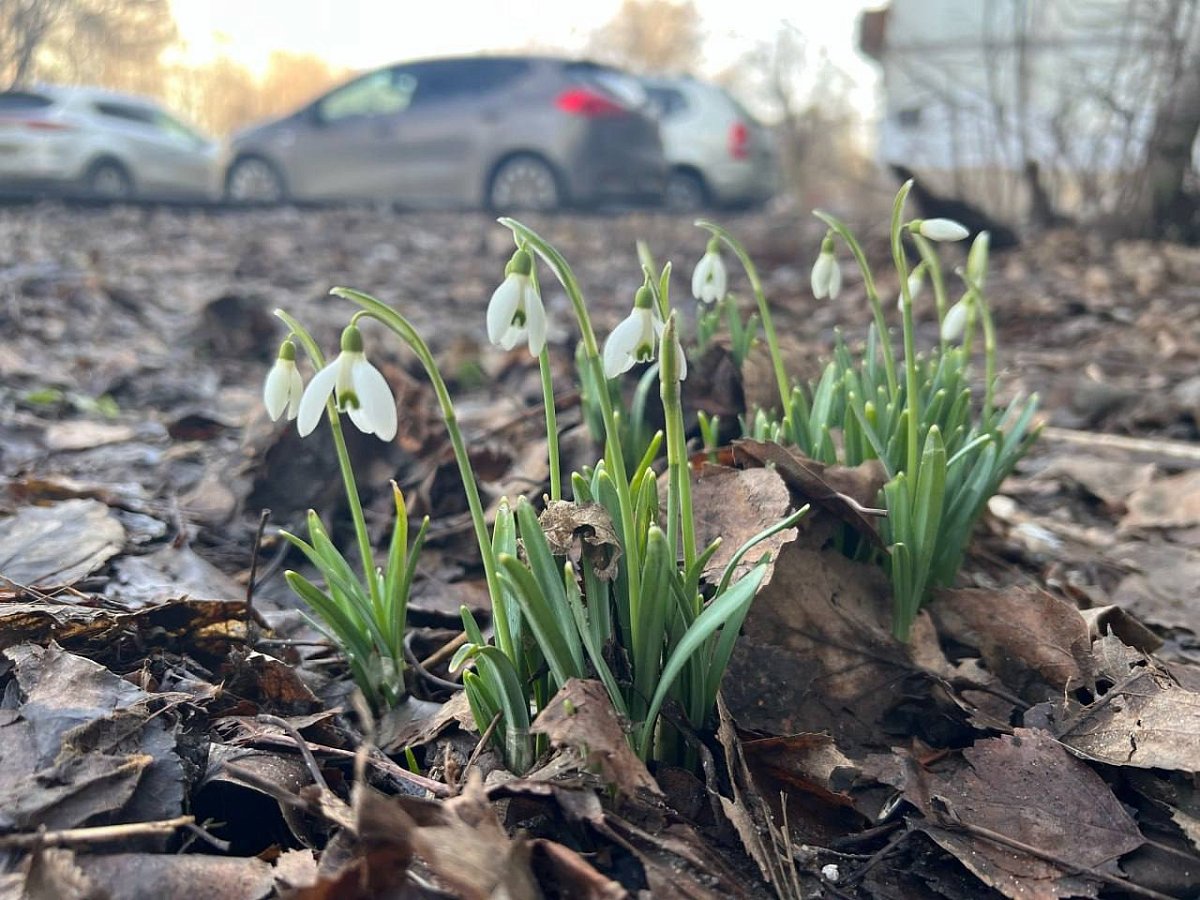 Март в Нижнем Новгороде завершится аномальным теплом и солнцем