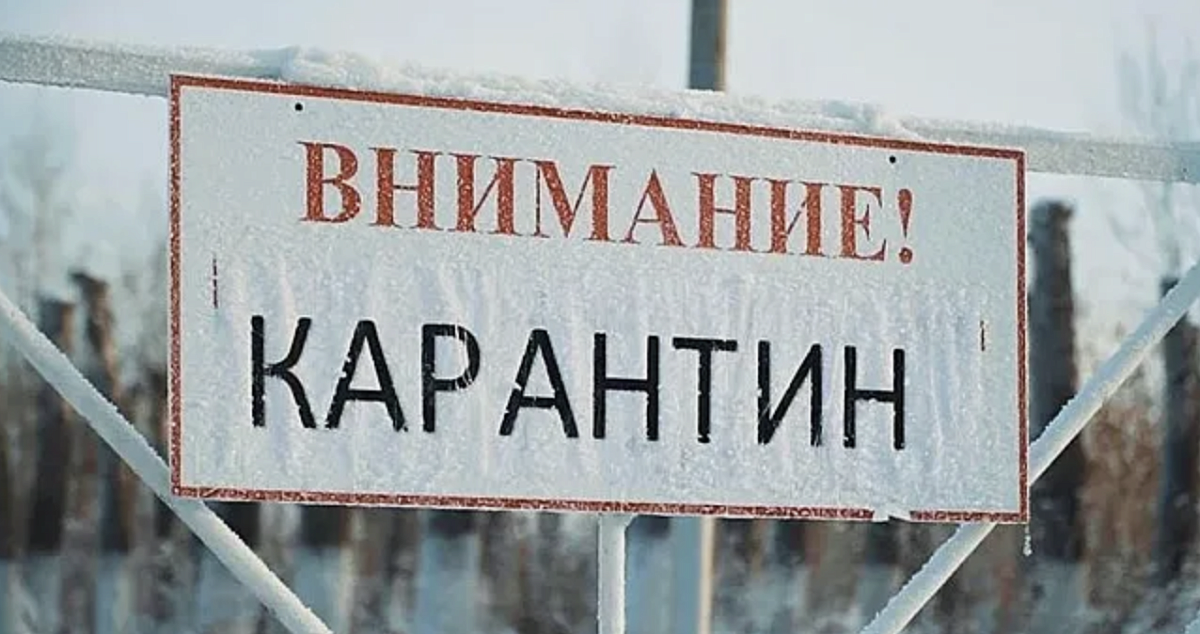 В селе Тукай Спасского округа ввели карантин по бешенству