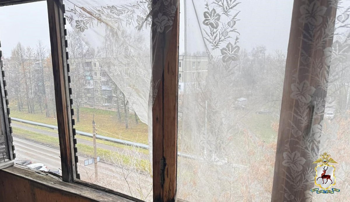 Нижегородца арестовали на 24 дня из-за неудачного взрыва петарды