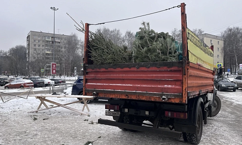 Нелегальную продажу ёлок пресекли в Советском районе Нижнего Новгорода