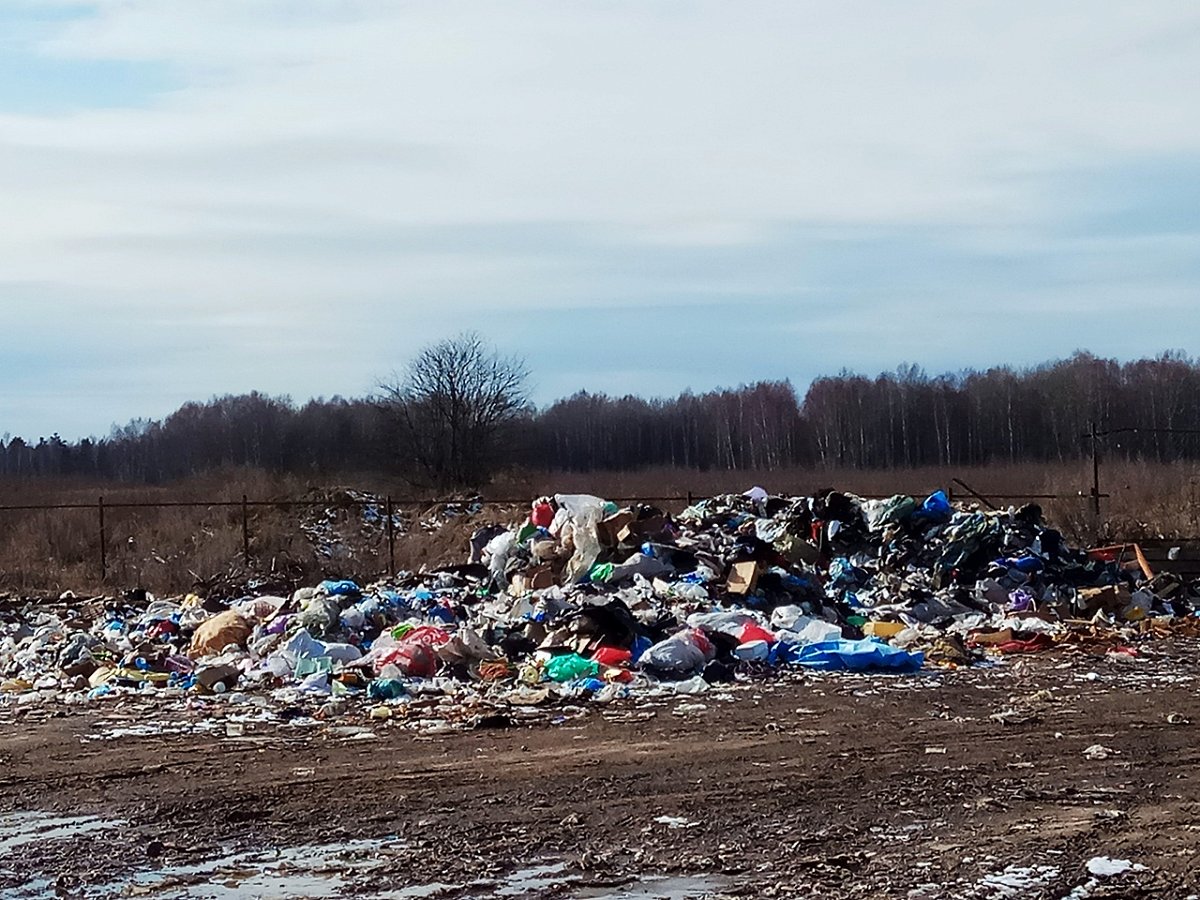 На ликвидацию свалок в Нижегородской области направят 137 млн руб.