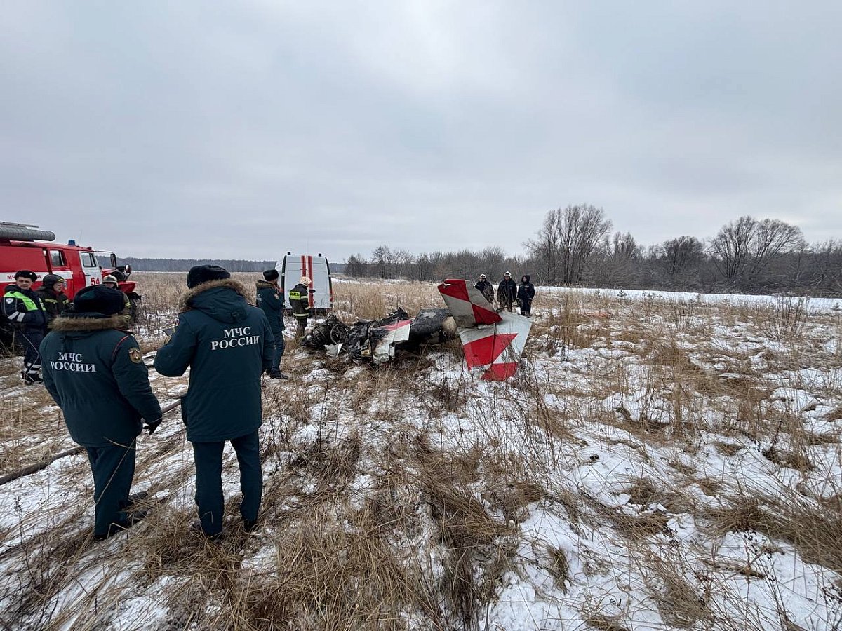 Прокуратура проверяет обстоятельства падения самолета под Кстовом