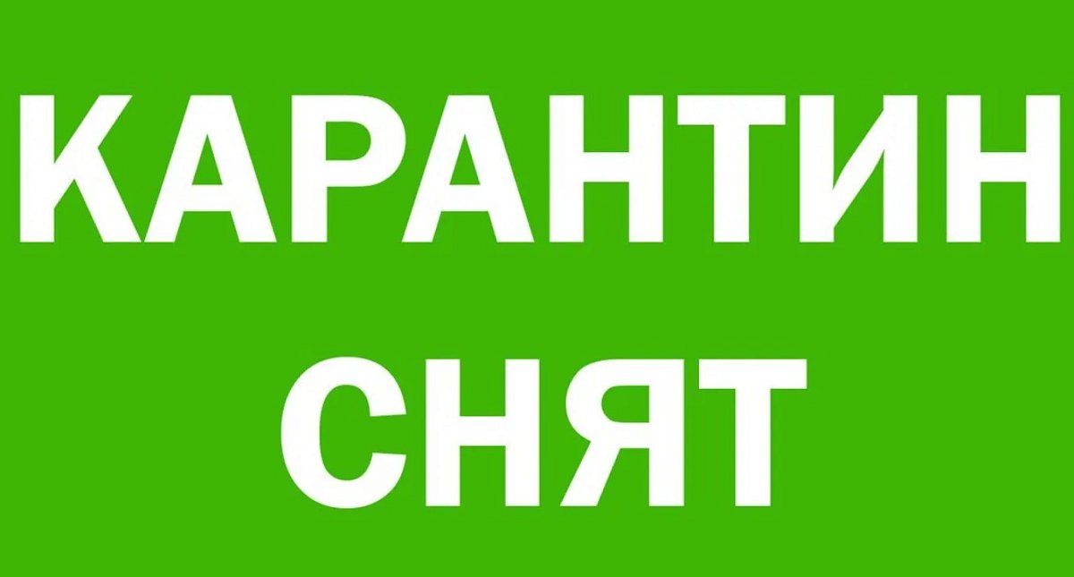 В Нижегородской области сняли карантин по бешенству в четырёх районах