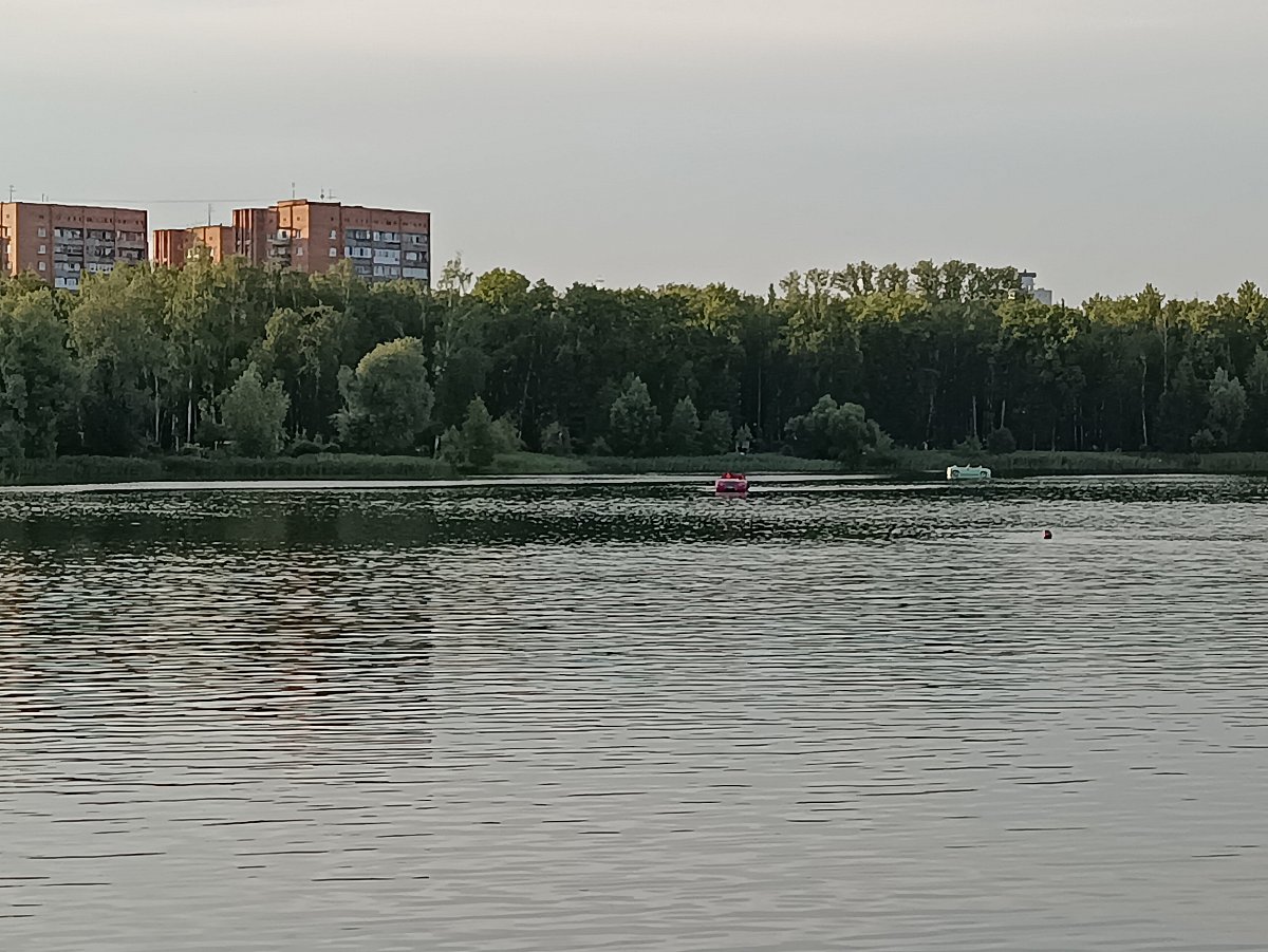 Озеро Светлоярское проверят после жалоб на церкариоз