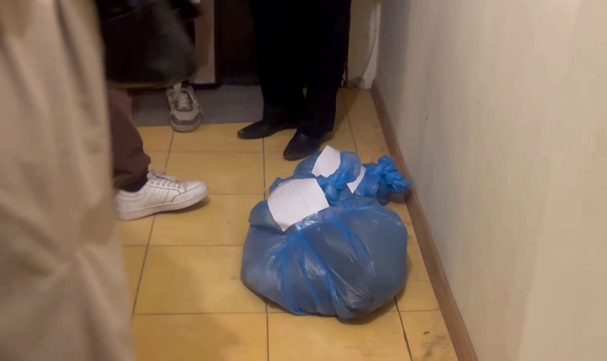Изуродованные трупы котят нашли в еще одной нижегородской квартире