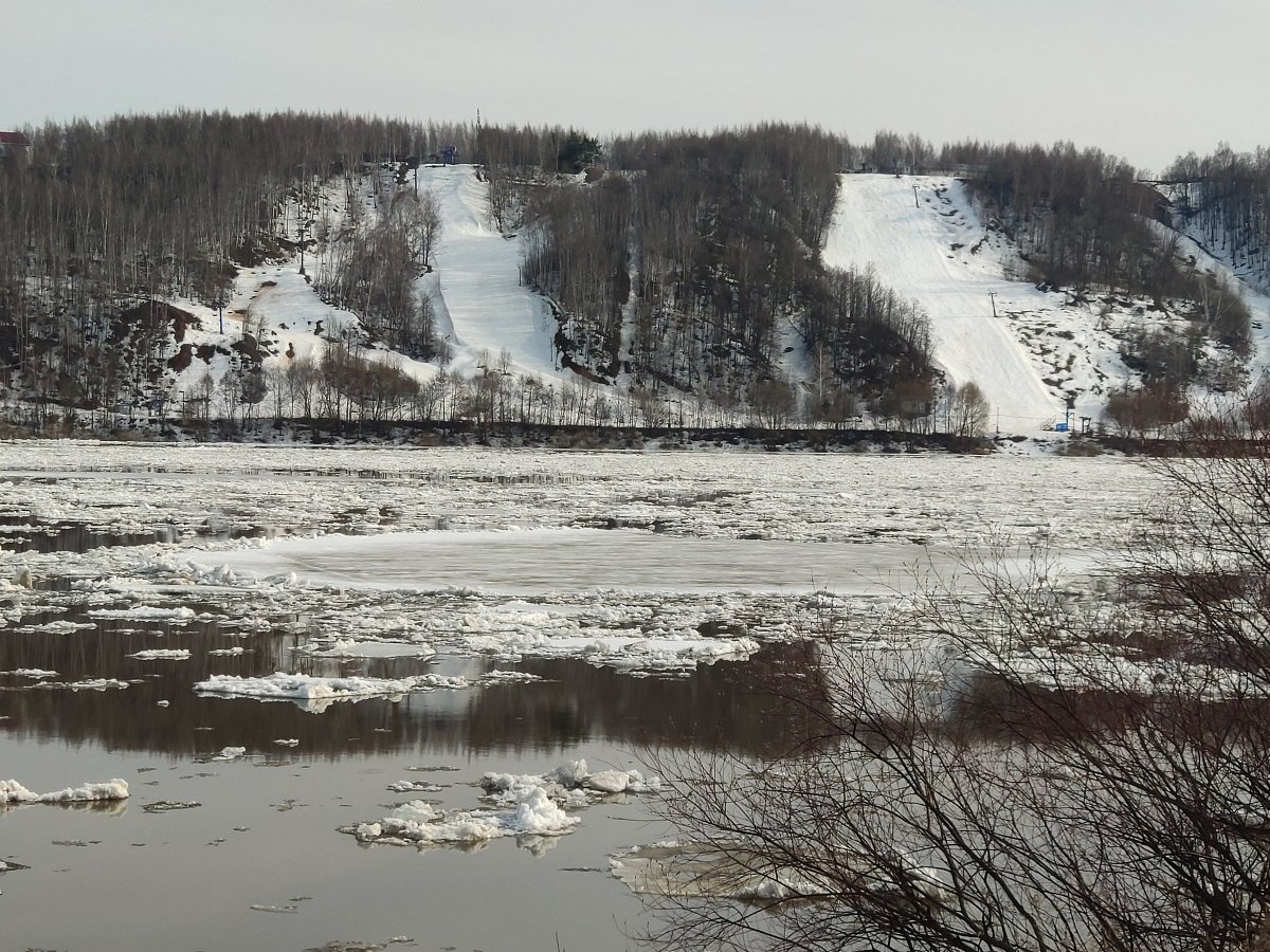 В Нижнем Новгороде Минэкологии обязали поставить «Малышевские гривы» на учет