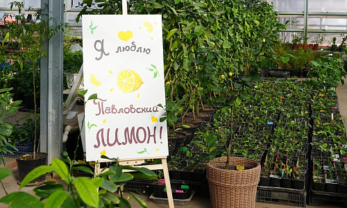 Город кузнецов, ставший лимонной столицей