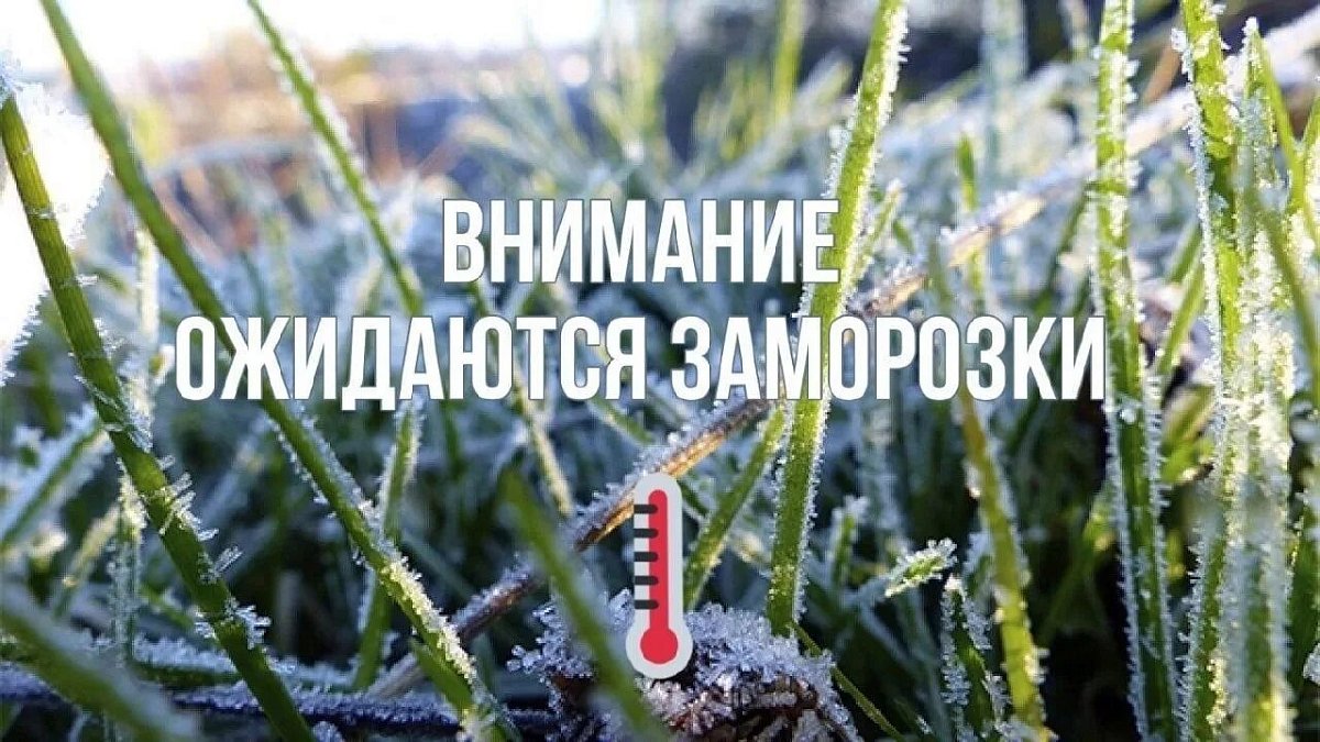 МЧС предупредило о заморозках до –3 °С в Нижегородской области