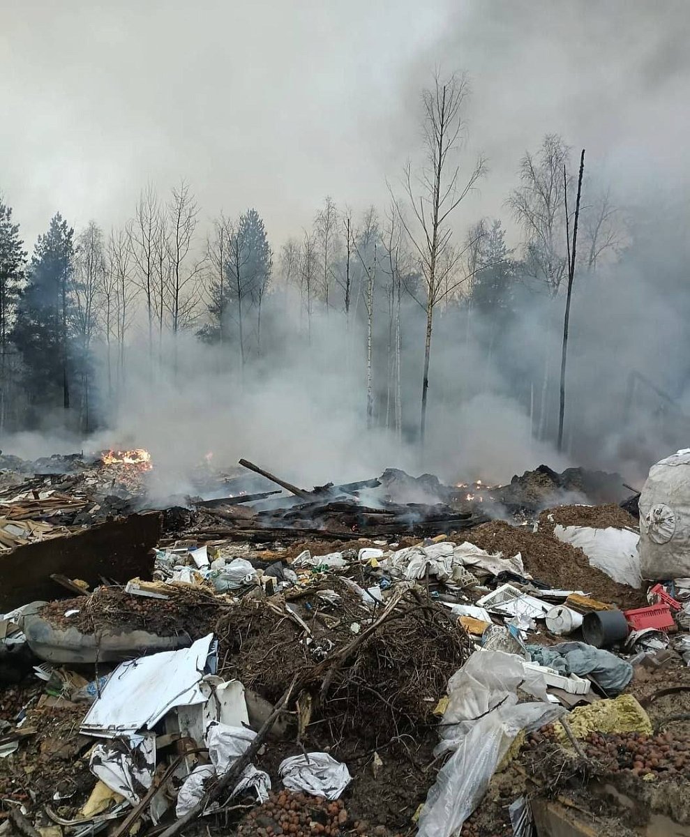 В Нижнем Новгороде направят 6,6 млн рублей на ликвидацию несанкционированных свалок