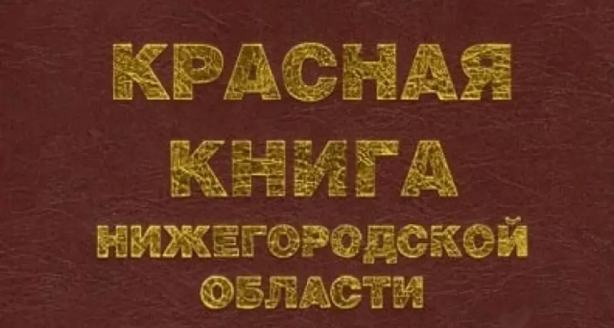 В Нижегородской области издали обновлённую Красную книгу