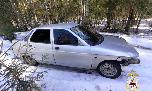 В нижегородском Заволжье задержали водителя, насмерть сбившего пенсионера